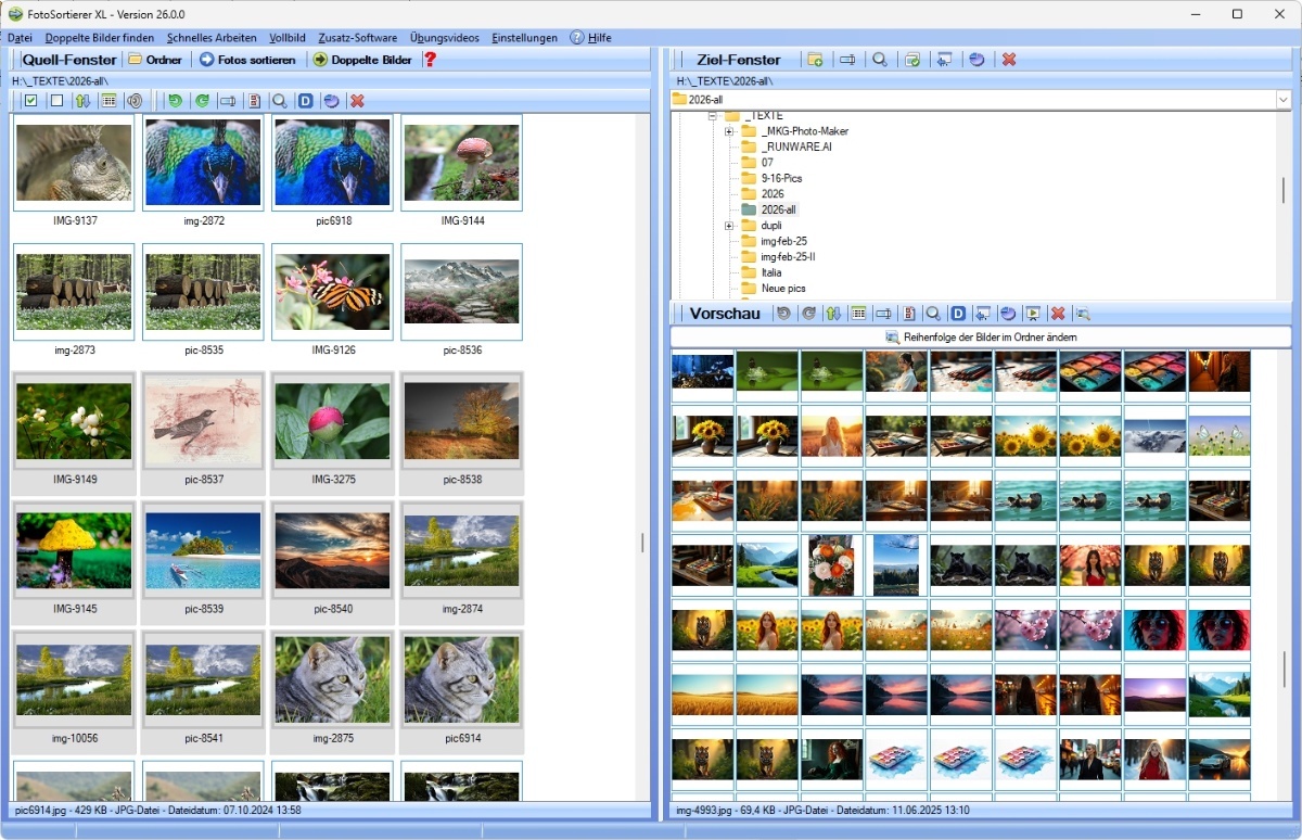 Fotos auf PC sortieren