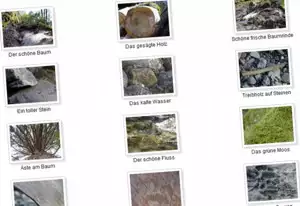Homepage Programm